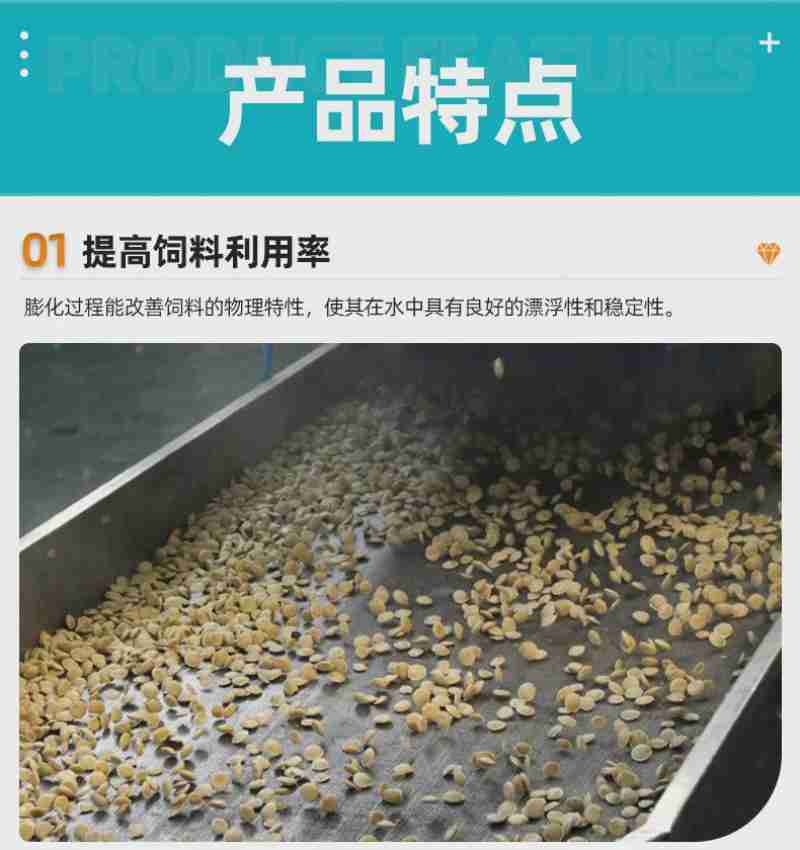 外国游客游三峡大坝。 (受访单位供图)